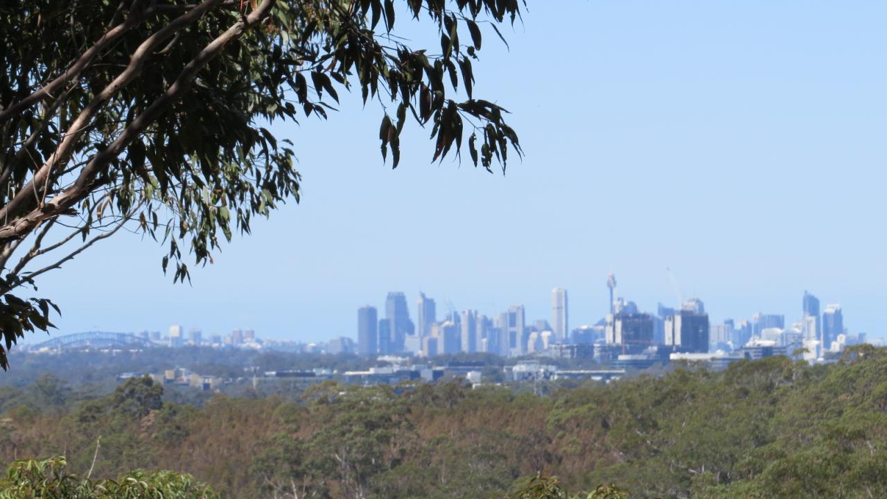 Sydney